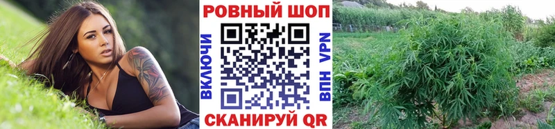  Кокаин Чудово