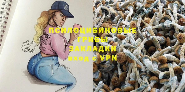 СК Медвежьегорск