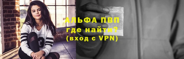 СК Медвежьегорск