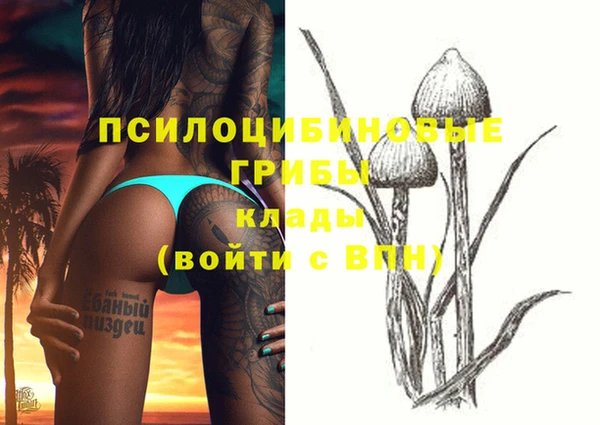 таблы Мегион